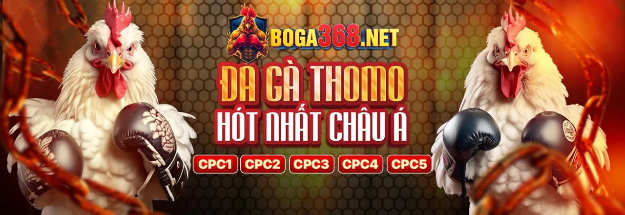Hình ảnh chính về chiến thuật bắn cá 77 ball đạt điểm cao