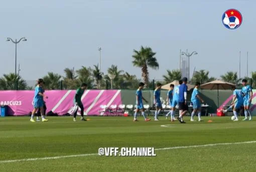 Điều khoản dịch vụ 77 ball uy tín